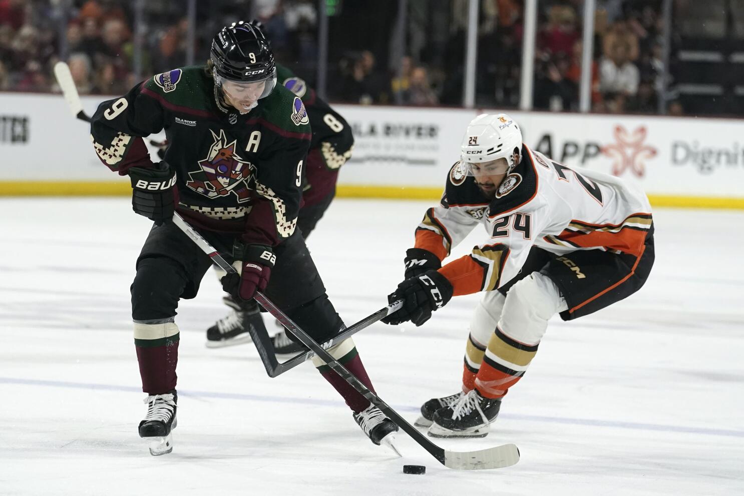 The Ultimate Anaheim Ducks Game Day Guide