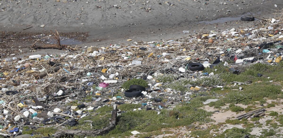 Trash fills a shoreline 