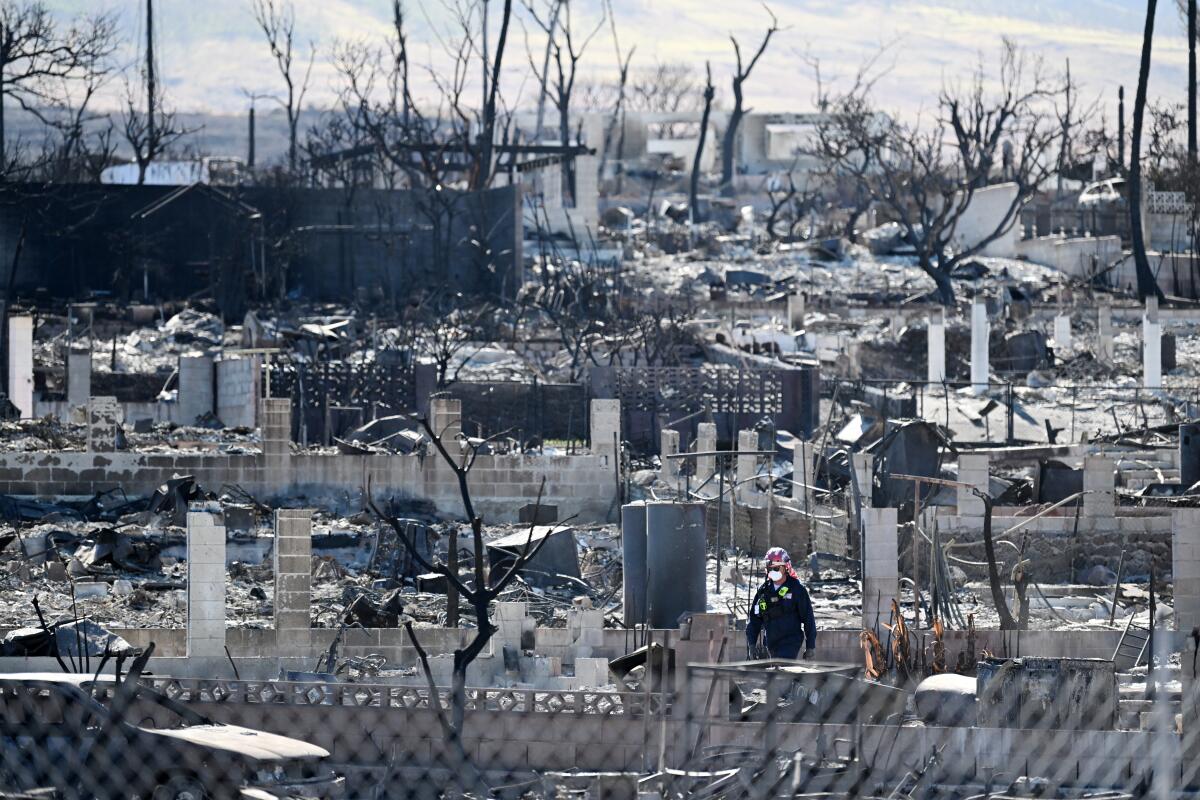 A landscape of buildings razed by wildfire