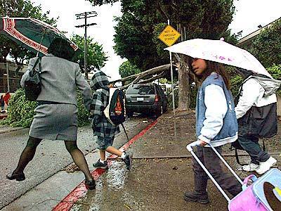 A mother and children work their way around a fallen tree on their way to Park Western Place Elementary School in San Pedro.
