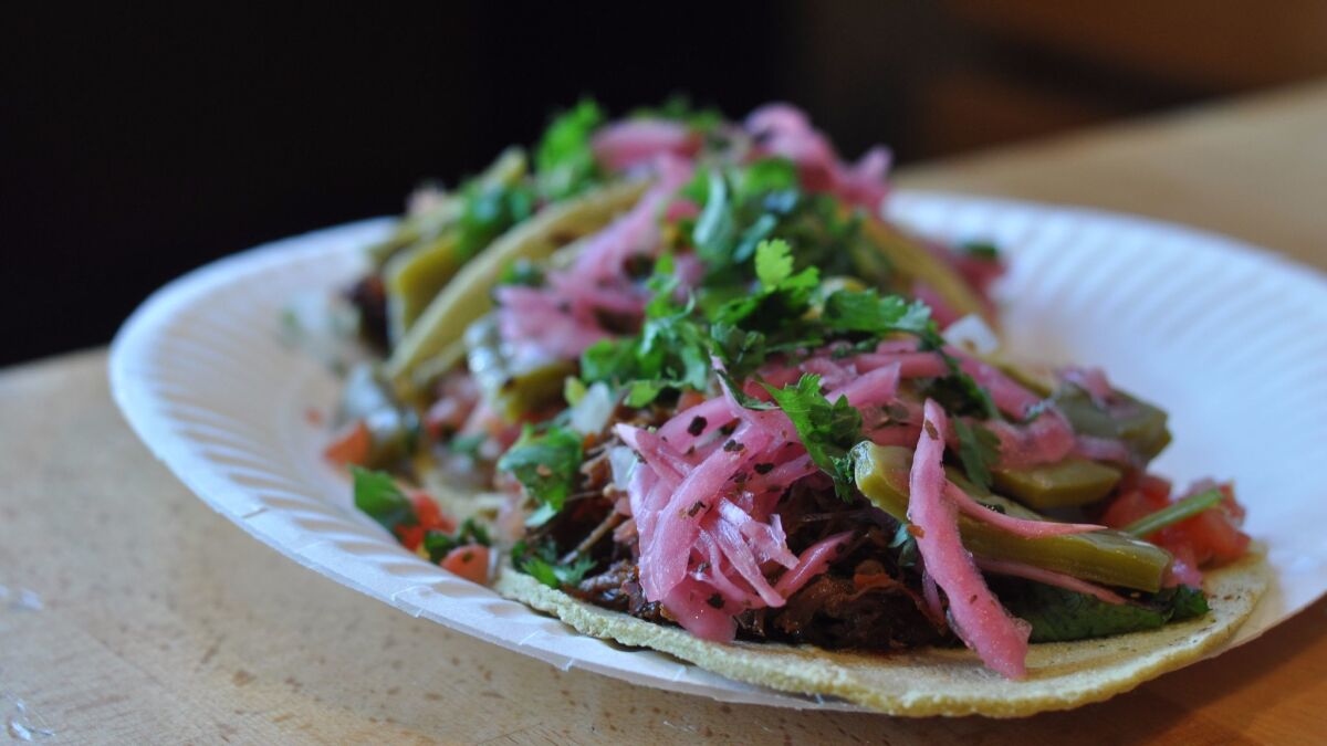 A plate of MexiKosher's birria tacos