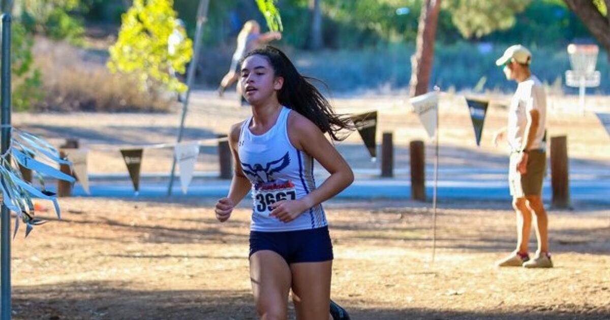 Brianna Busse excelling in sports, academics at Del Norte High Brianna Busse excelling in sports, academics at Del Norte High