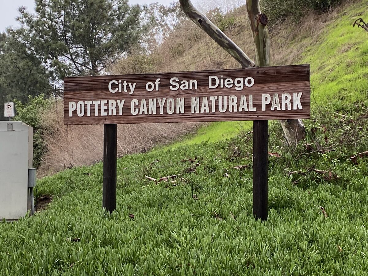 Pottery Canyon Natural Park is named for the pottery business operated by the Rodriguez Brothers, who lived and wroked at 3034 Torrey Pines Road from 1928 to the 1970s.
