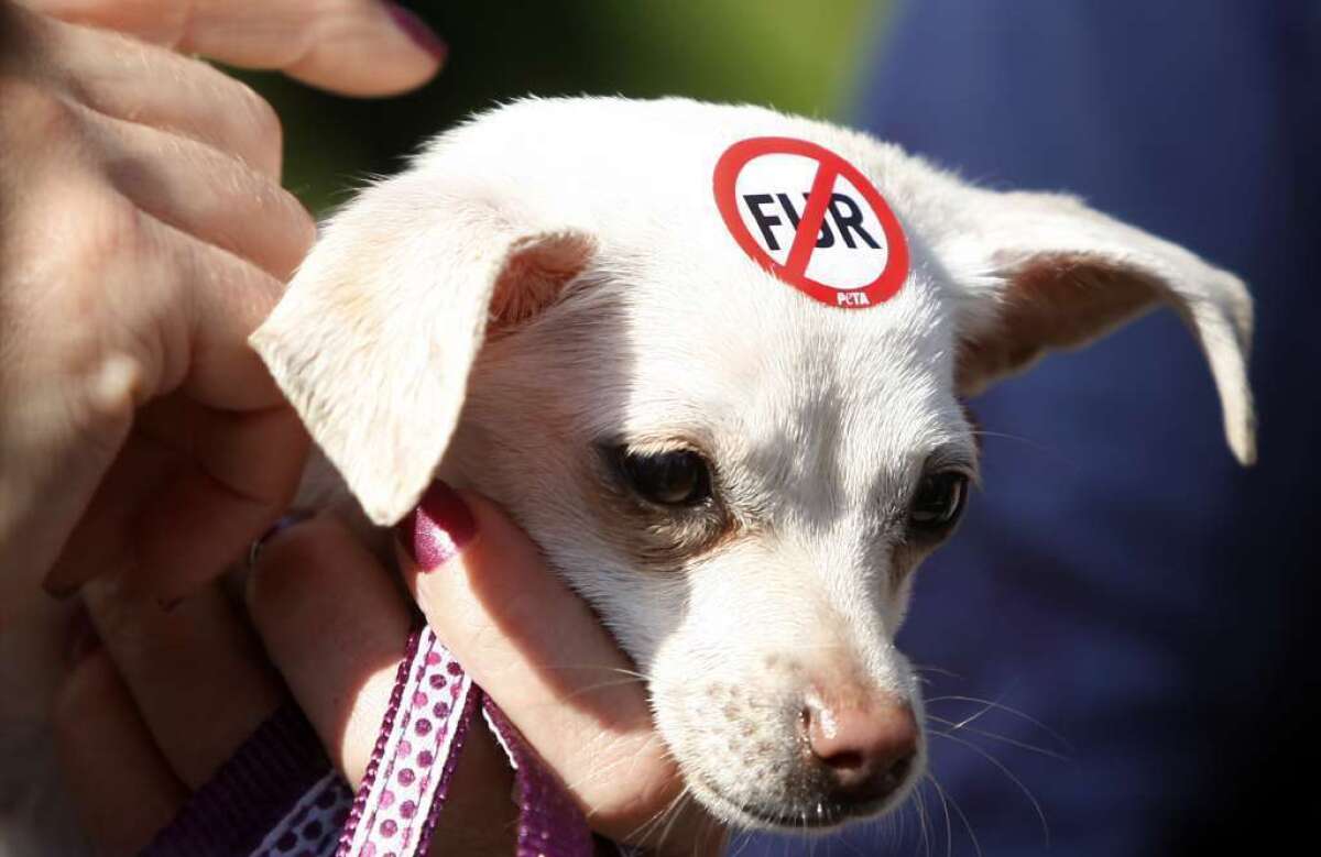 This dog was part of an anti-fur protest in West Hollywood in 2011. Neiman Marcus settles charges filed by the FTC that it had violated the Fur Products Labeling Act.