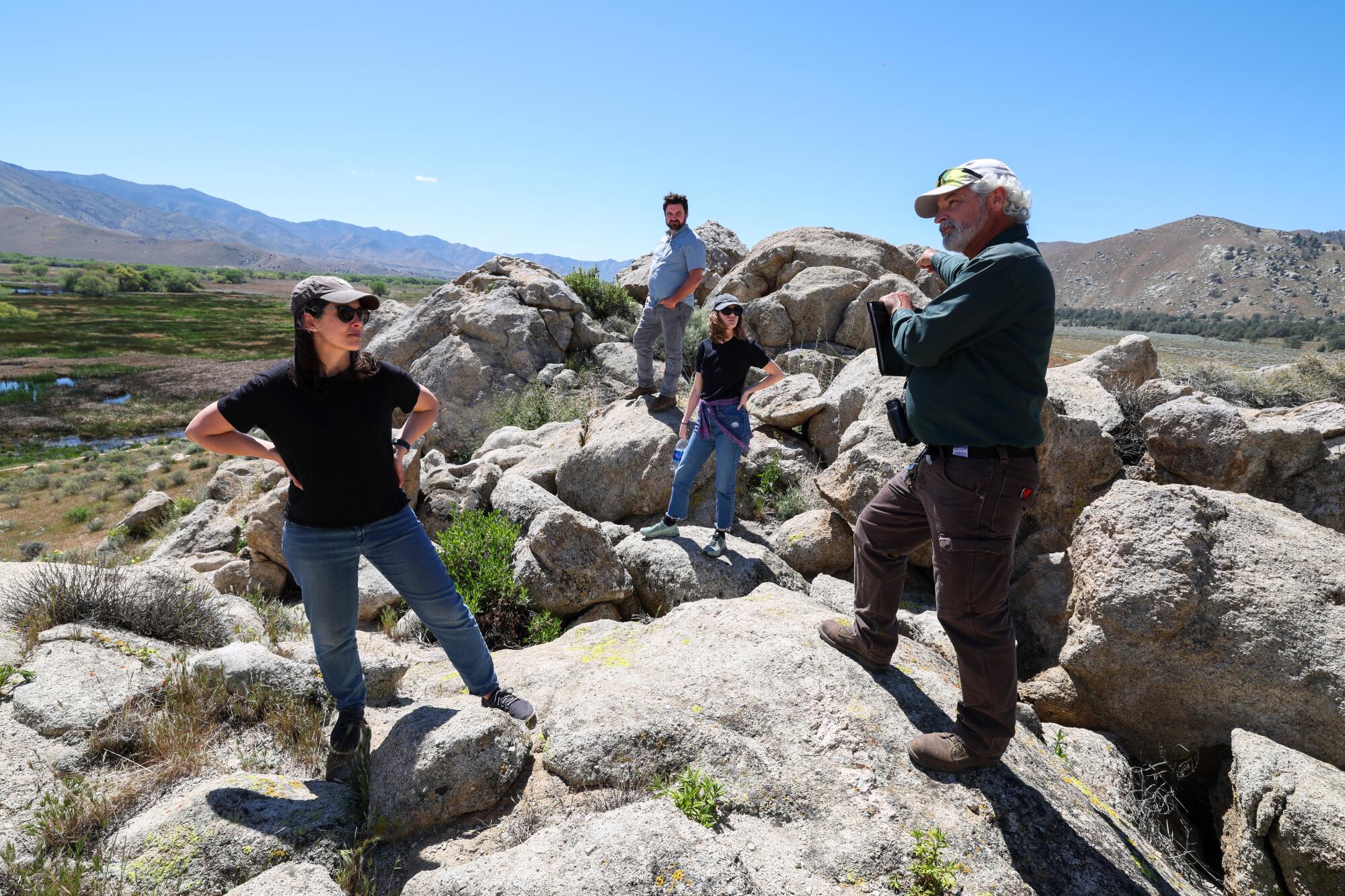 Scientists and conservation specialists stand on a rock formation overlooking a wetland.