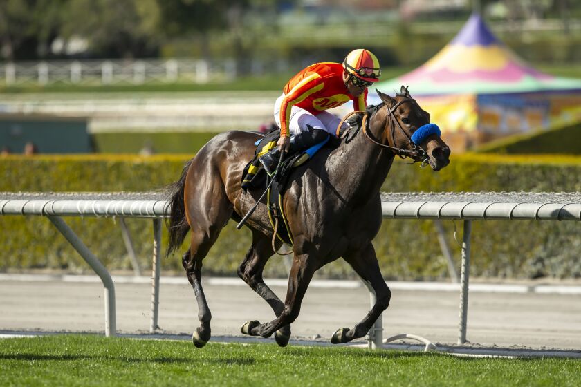 In this image provided by Benoit Photo, Fast and Shiny, with Abel Cedillo aboard, wins the $100,000 Angels Flight Stakes horse race Sunday, March 26, 2023, at Santa Anita Park in Arcadia, Calif. (Benoit Photo via AP)