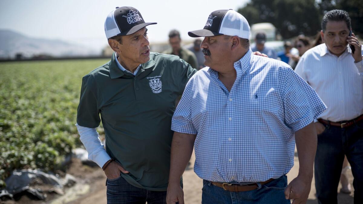 Former Los Angeles Mayor Antonio Villaraigosa, left, a Democrat running for governor of California, speaks with Cabrera Farms owner Ricky Cabrera at a strawberry field in Salinas, Calif.