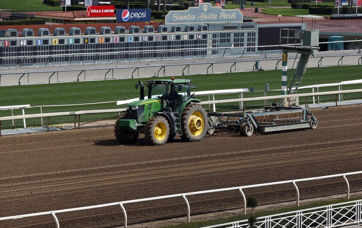 A tractor grooms the dirt track at Santa Anita Park in Arcadia, Calif., Thursday, March 7, 2019. Extensive testing of the dirt track is under way at eerily quiet Santa Anita, where the deaths of 21 thoroughbreds in two months has forced the indefinite cancellation of horse racing and thrown the workaday world of trainers, jockeys and horses into disarray.