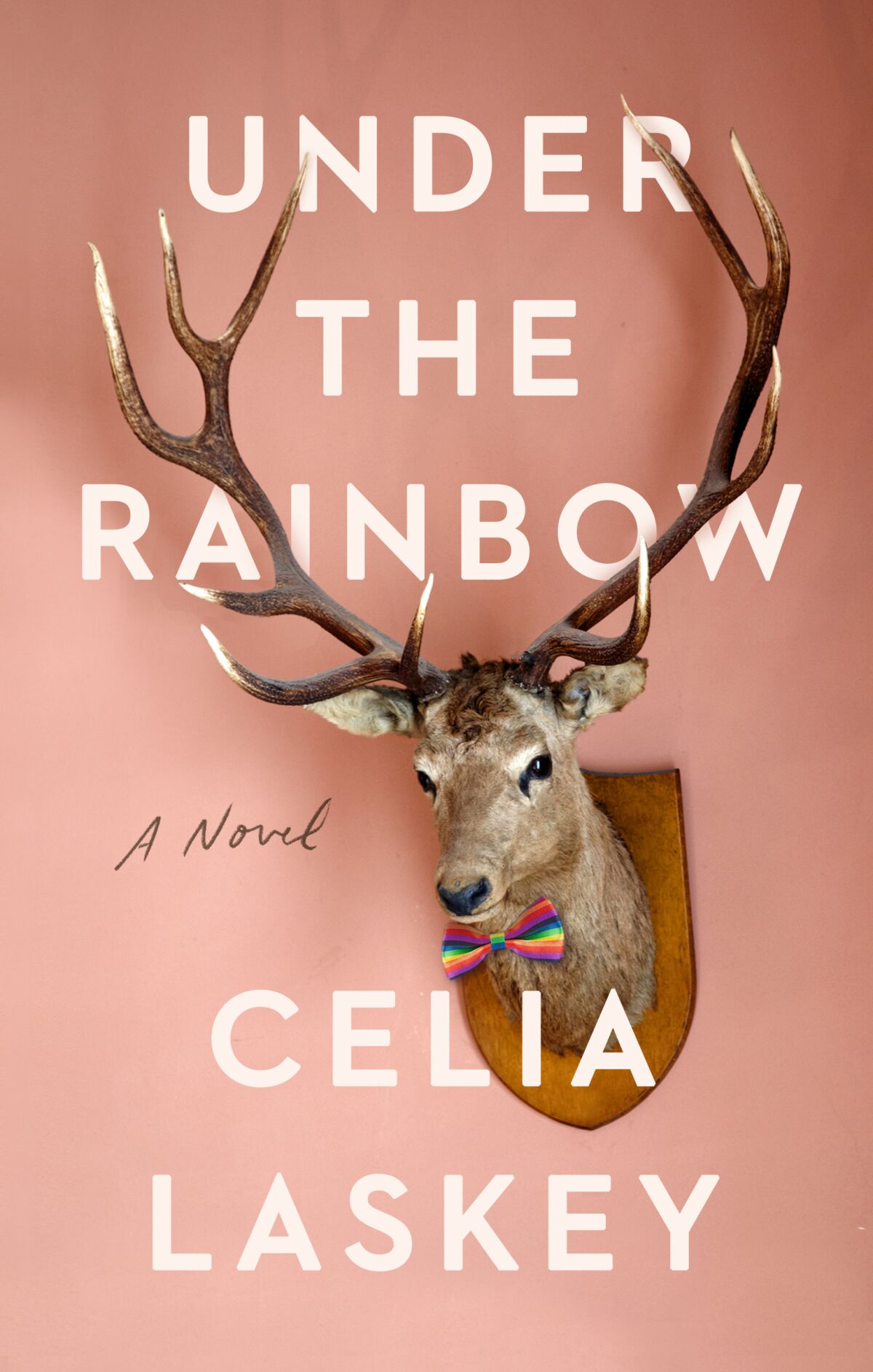 A book cover for "Under the Rainbow," by Celia Laskey