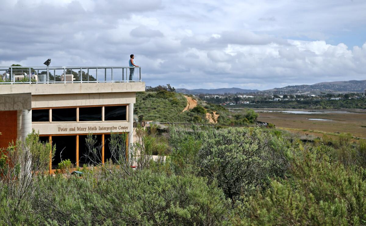 A visitor looks out over the Upper Newport Bay State Marine Conservation Area.