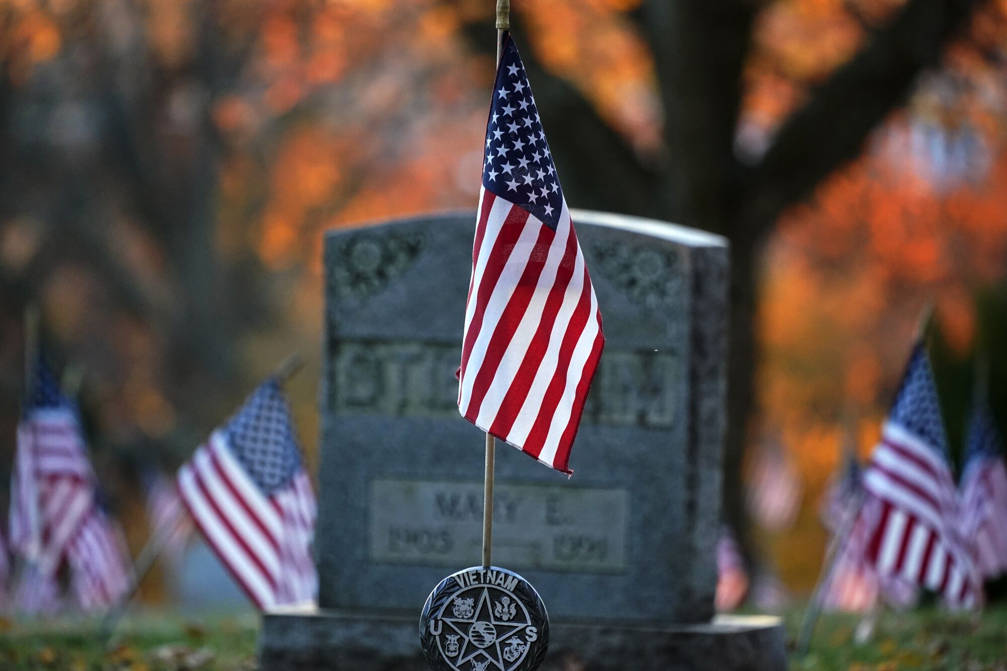 Flags are set into the ground at Mount Lebanon Cemetery in Pennsylvania. 