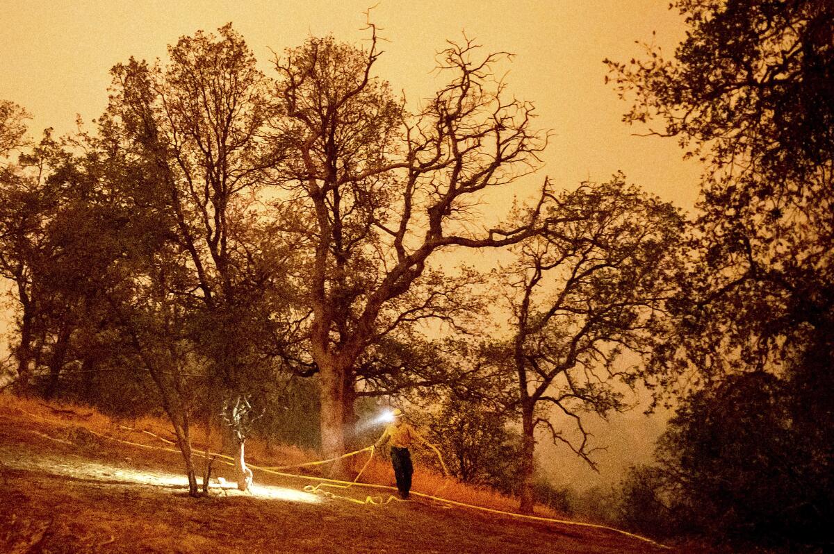 A firefighter lays hose around the Foothills Visitor Center while battling the KNP Complex Fire in Sequoia National Park, Calif., on Tuesday, Sept. 14, 2021. The blaze is burning near the Giant Forest, home to more than 2,000 giant sequoias. (AP Photo/Noah Berger)