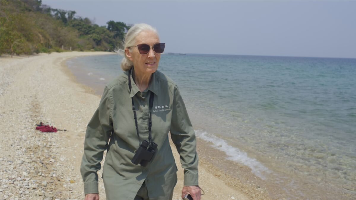Jane Goodall walking along the beach of Lake Tanganyika in "Jane Goodall: The Hope."