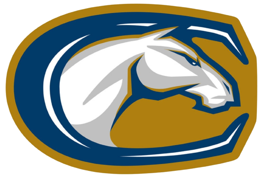 A UC Davis report concluded baseball players engaged in initiation rituals that included binge drinking.