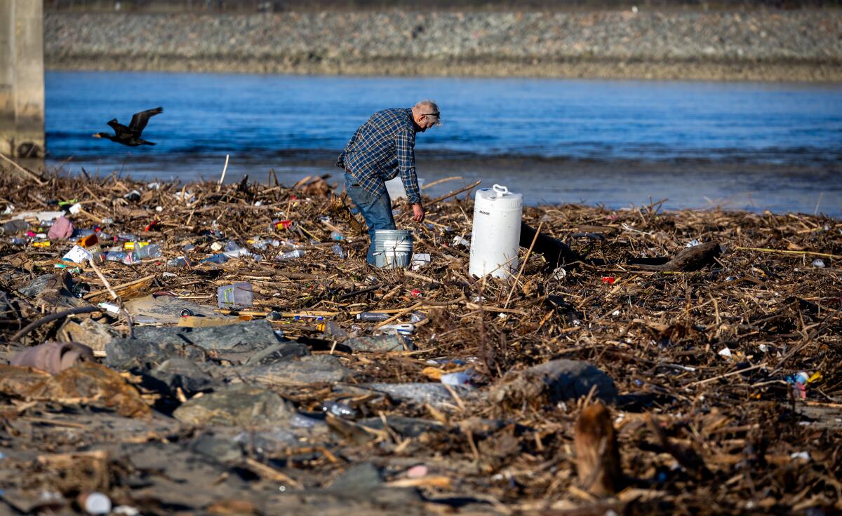 A man searches through storm runoff debris on the banks of the Santa Ana River.