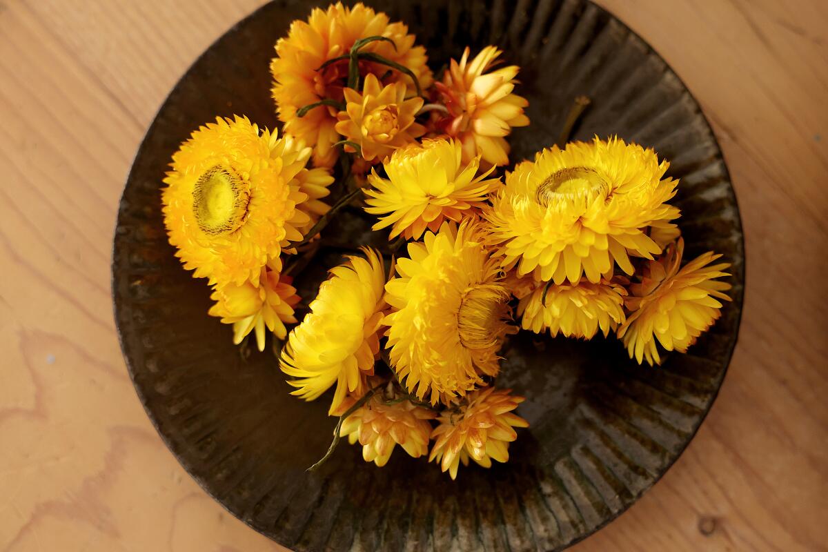 Dry yellow flowers rest on a bowl of brown ceramics