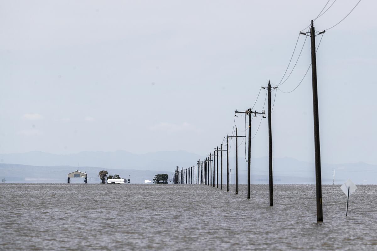 A line of utility poles is immersed in a broad expanse of water.