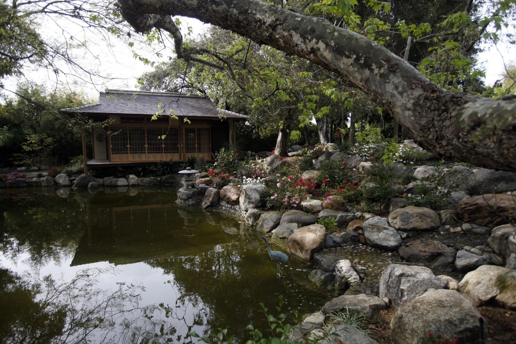 Storrier Stearns Japanese Garden Serene Reawakening In Pasadena
