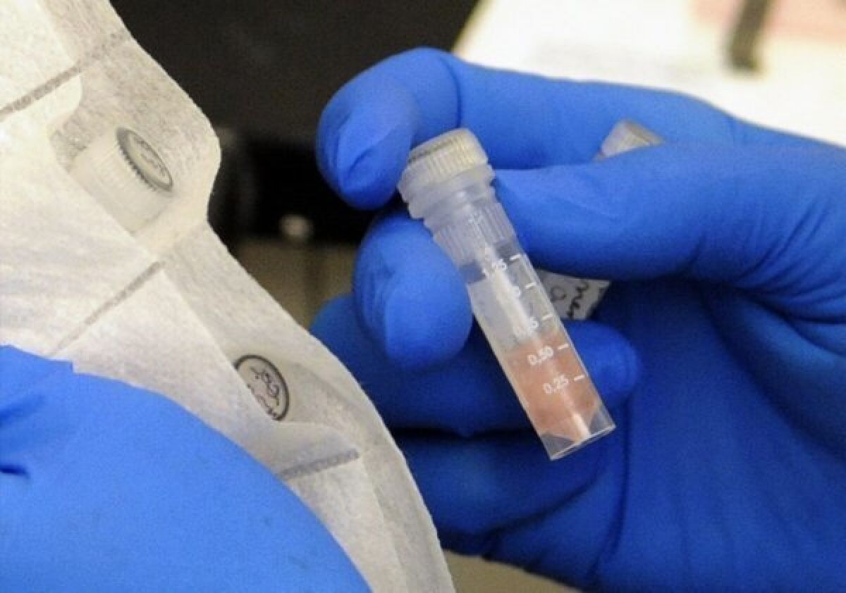 A laboratory technician packages spinal fluid for testing for fungal meningitis.