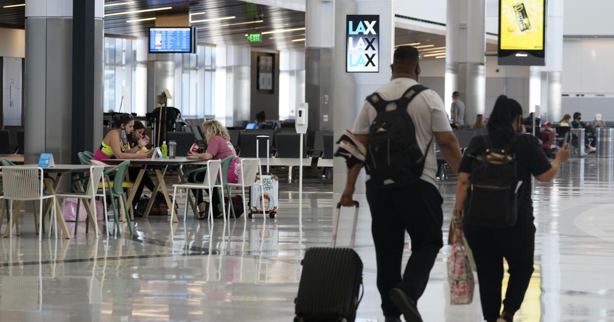 According to police, a passenger was arrested at LAX airport after running onto the tarmac