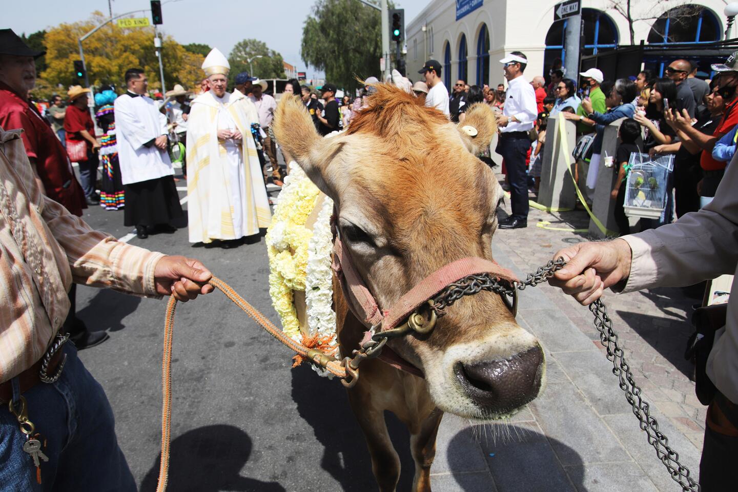 1280600-la-es-blessing-of-the-animals-placita-olvera-20230408-8