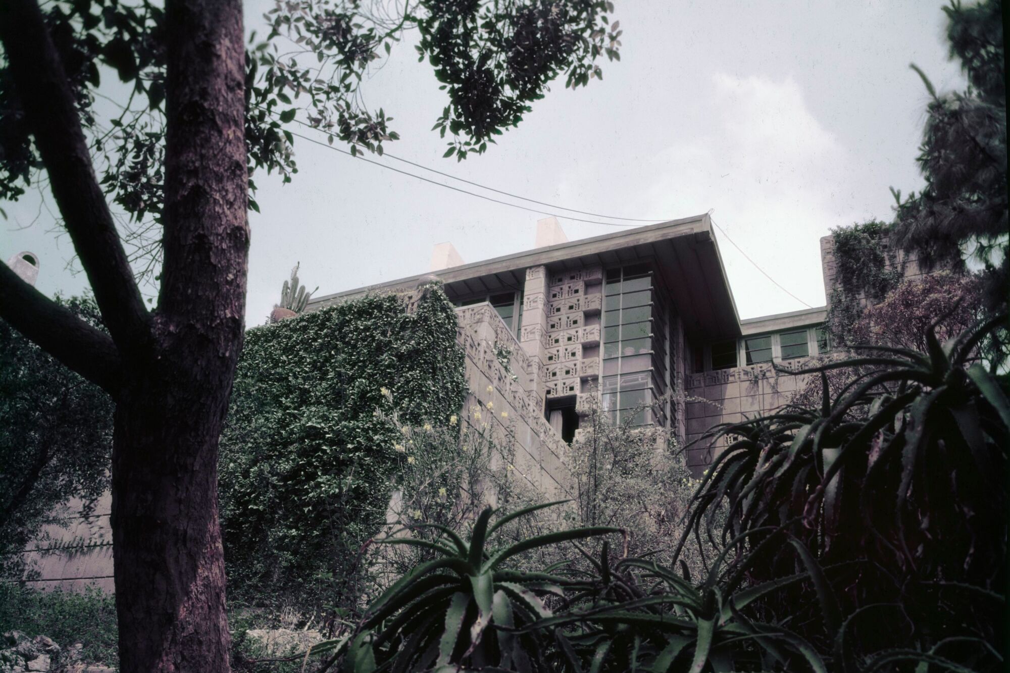 A vintage color image from the 1950s shows an upward view of the textile-block exterior of the Freeman House.