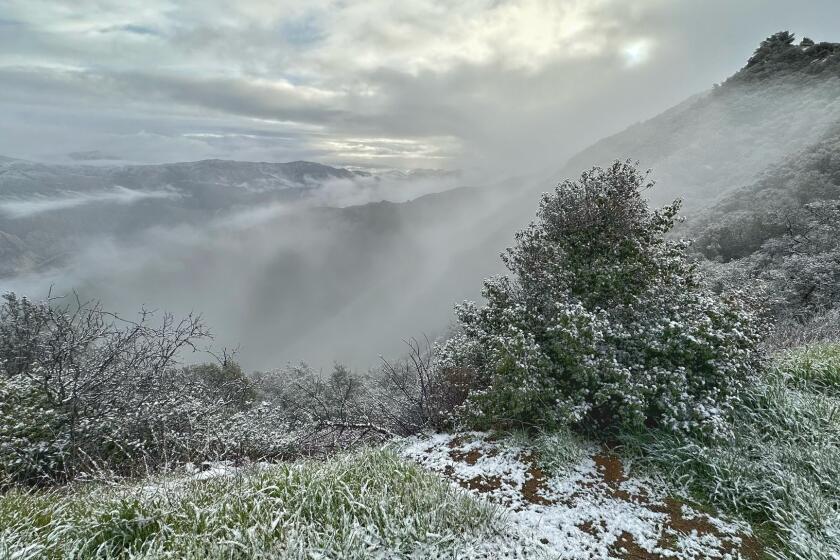 A light snow falls along Painted Cave Road in the mountains above Santa Barbara on Feb. 23.