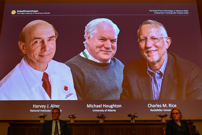 Nobel Committee members Patrik Ernfors (L) and Gunilla Karlsson Hedestam sit in front of a screen displaying the winners of the 2020 Nobel Prize in Physiology or Medicine (L-R) American Harvey Alter, Briton Michael Houghton and American Charles Rice during a press conference at the Karolinska Institute in Stockholm, Sweden, on October 5, 2020. - Americans Harvey Alter and Charles Rice together with Briton Michael Houghton won the Nobel Medicine Prize on Monday for the discovery of the Hepatitis C virus, the Nobel jury said. (Photo by Jonathan NACKSTRAND / AFP) (Photo by JONATHAN NACKSTRAND/AFP via Getty Images)