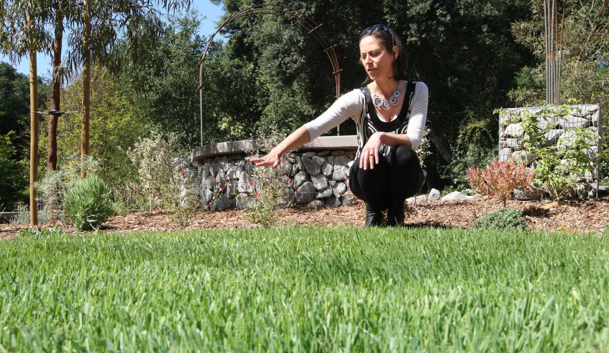 Cassy Aoyagi, president of FormLA Landscaping and the Theodore Payne Foundation, talks about Descanso Gardens' new demonstration garden, which aims to inform homeowners about how to recreate a "low-water" residential landscape during a press preview on Wednesday, April 8, 2015.