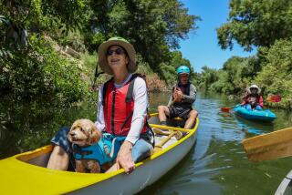 Encino, CA, Tuesday, June 25, 2024 - Environmental activist Melanie Winter floats along the LA River in the Sepulveda Basin. She has spent much of her life advocating for reimagining the L.A. River. In the Sepulveda Basin, she hopes to see natural floodplains restored. "How amazing is this! In the middle of L.A.," she exclaimed. "You get a glimpse of what the river was, and what the river could be again." (Robert Gauthier/Los Angeles Times)