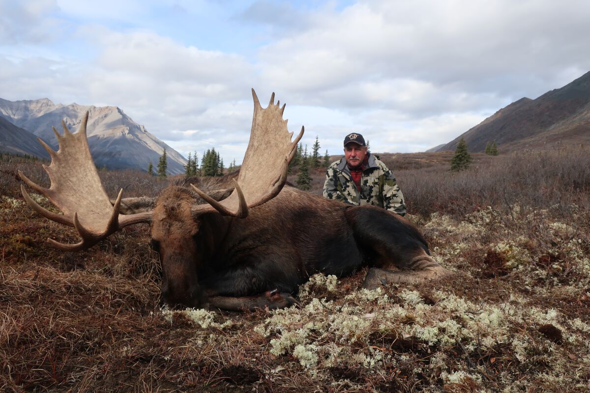 Washington hunter Jay Holzmiller poses by a moose that he shot in Canada's Yukon Territory