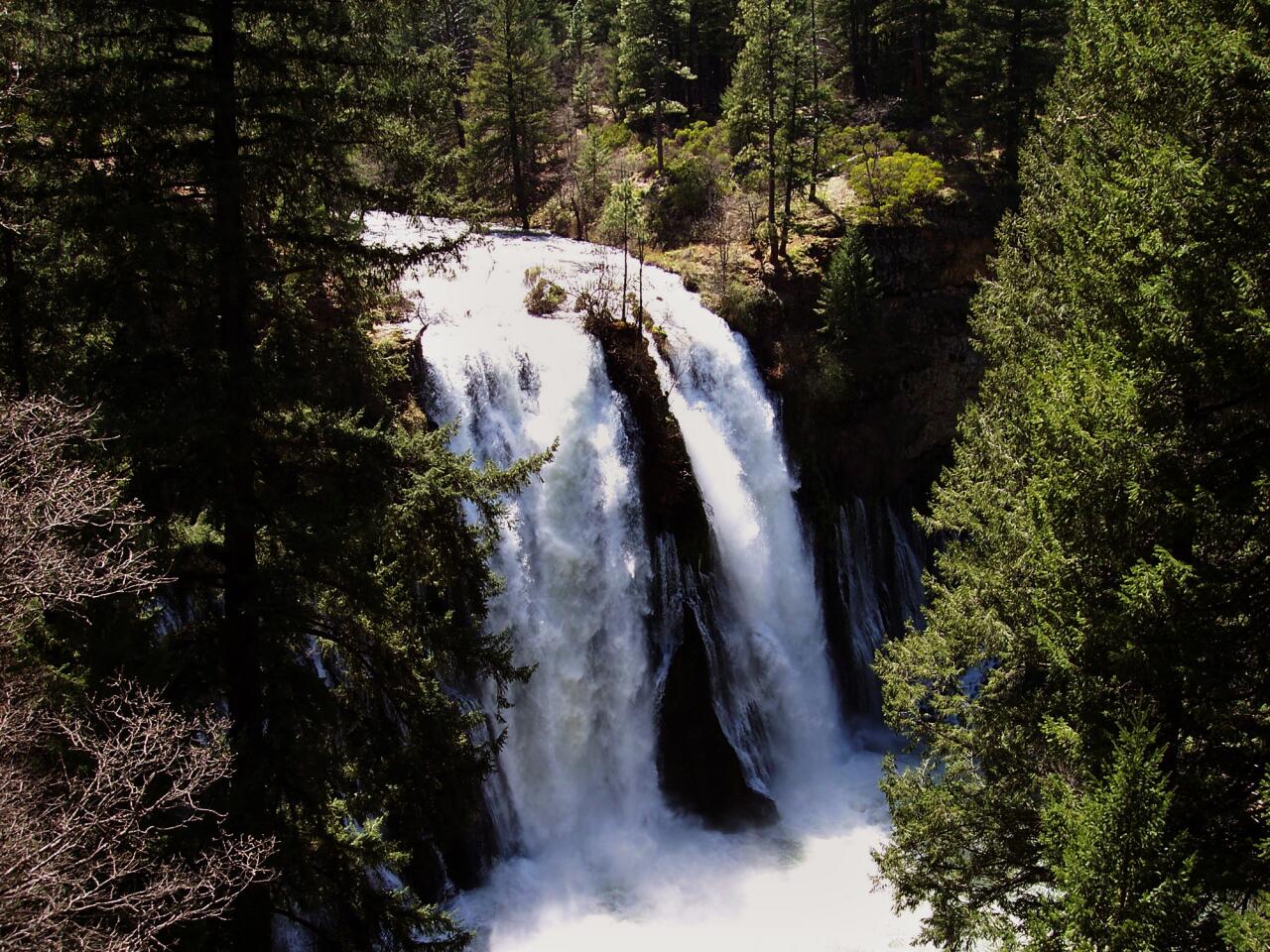 Stewart Mineral Springs