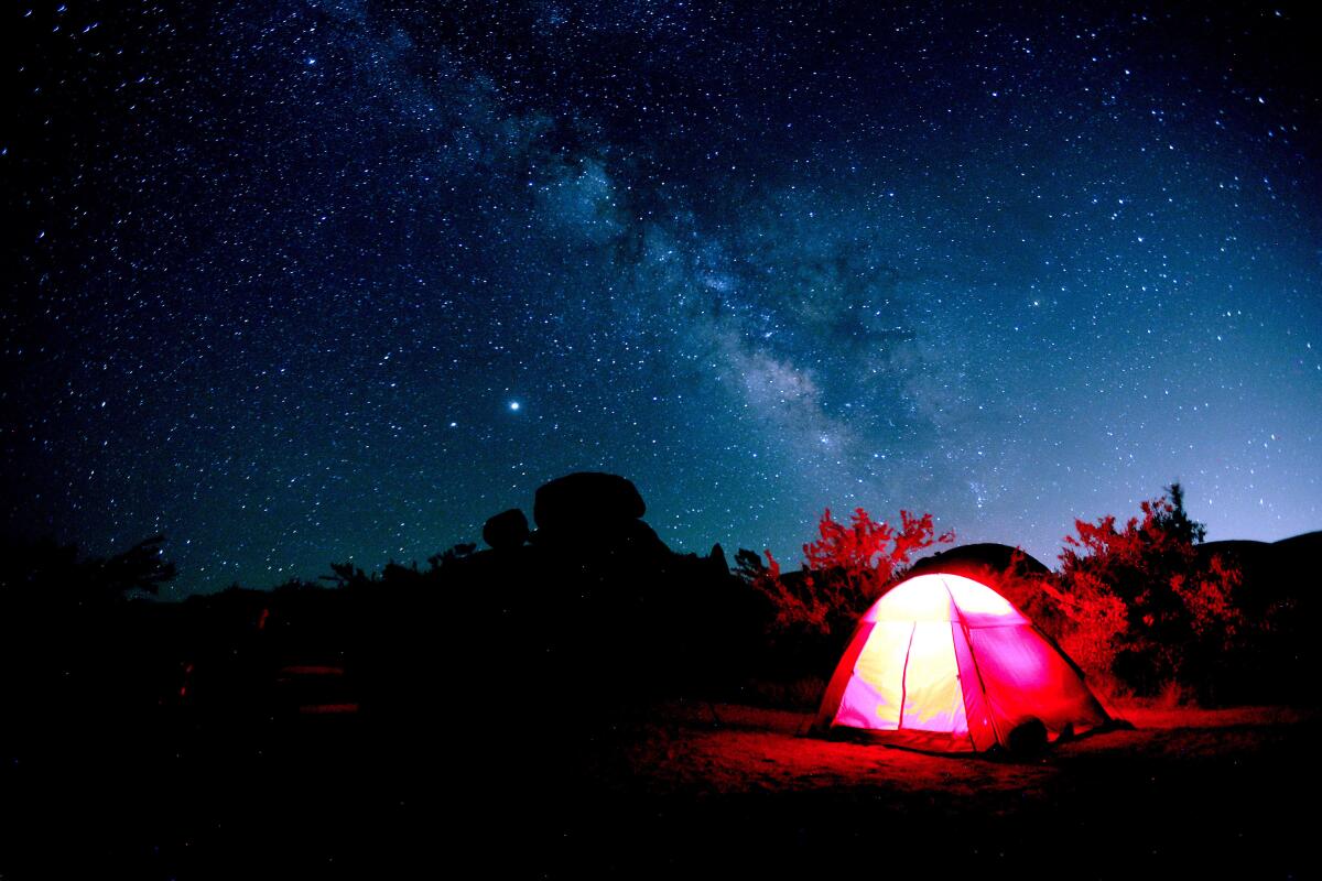 The Milky Way is seen above Joshua Tree National Park 