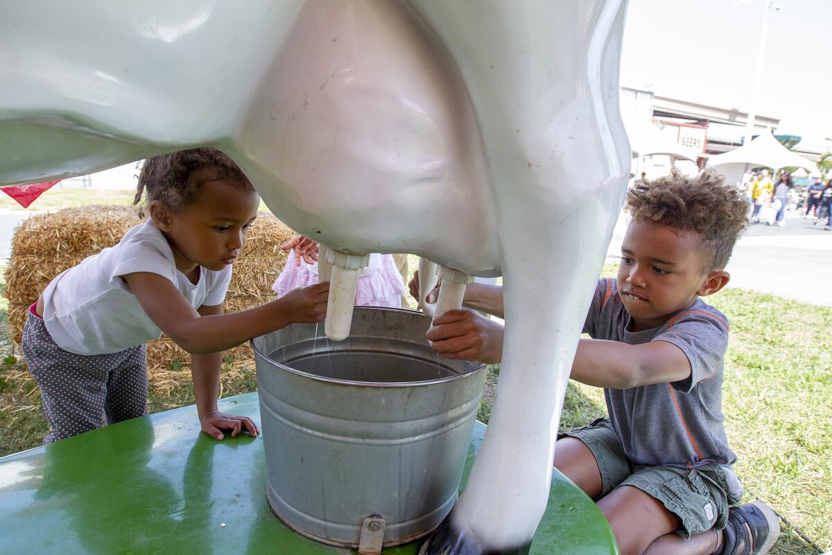 Sarah and Daniel Bunkowske practice cow milking during Imaginology 2019 in Costa Mesa.