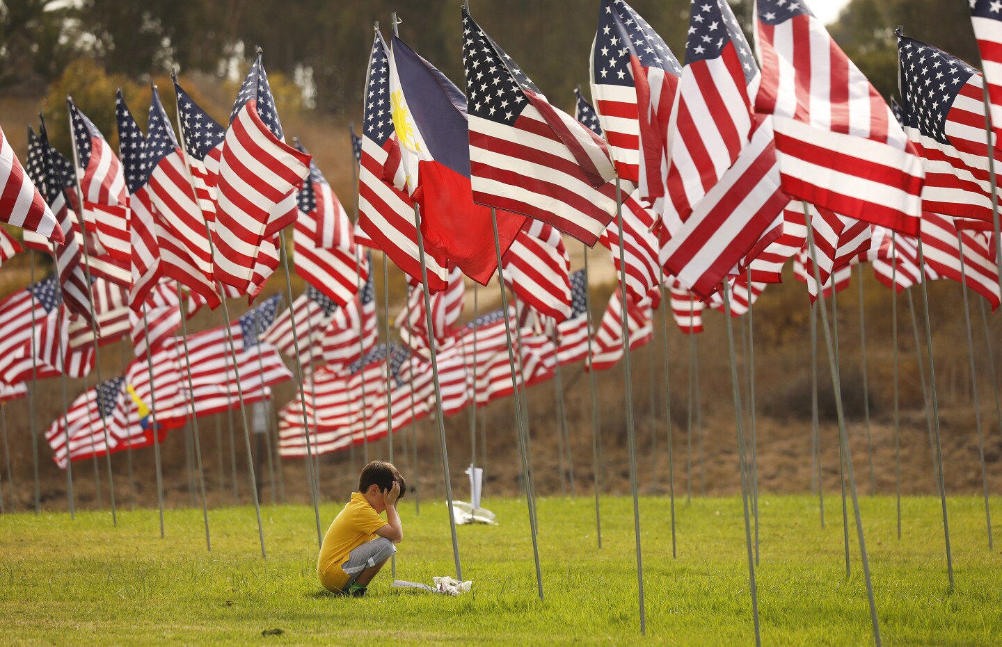 465382_la-me_waves-flags-display_5_ALS.jpg