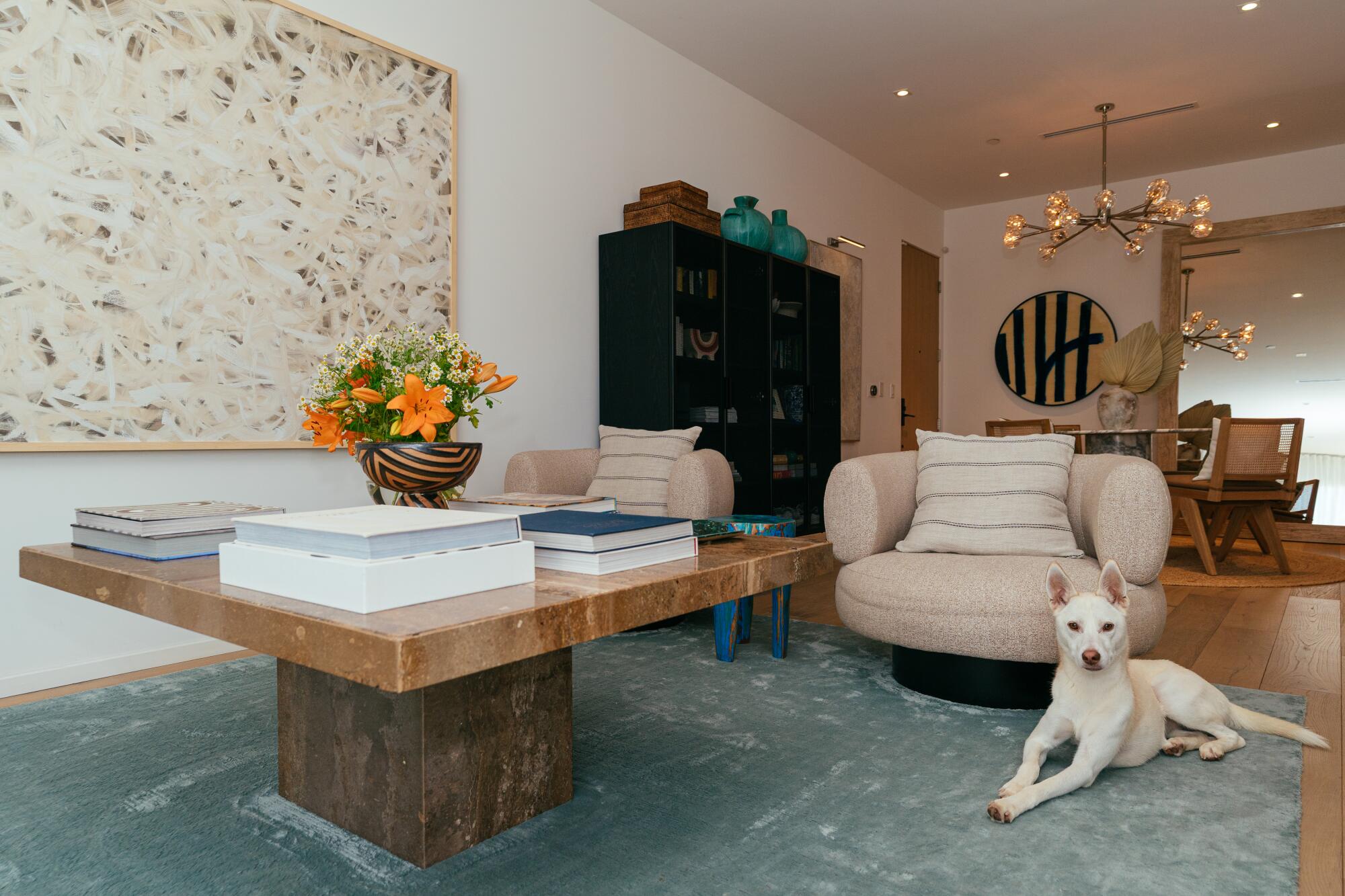 A white dog lies on the carpet in the living room of a condo