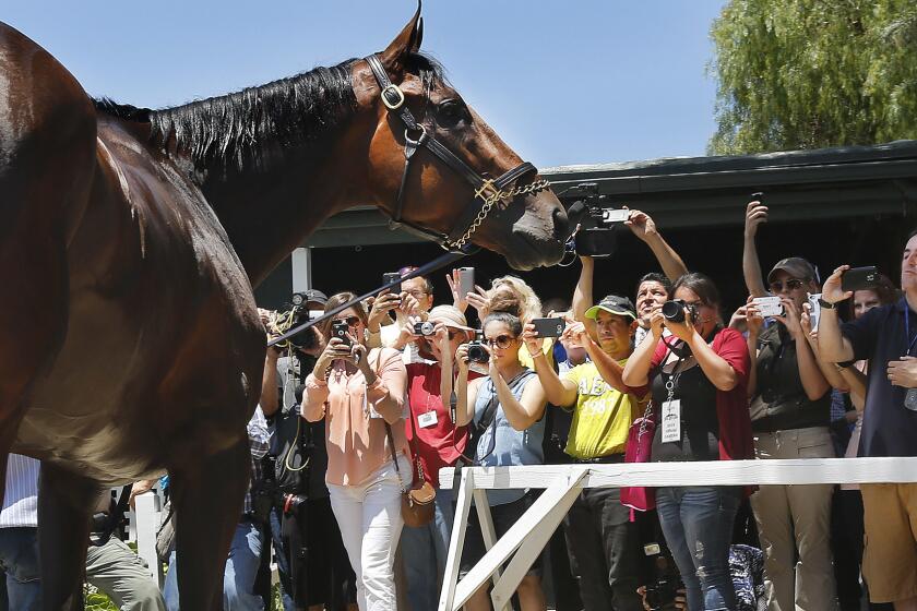 The Triple Crown winner with fans outside his barn at Santa Anita Park.