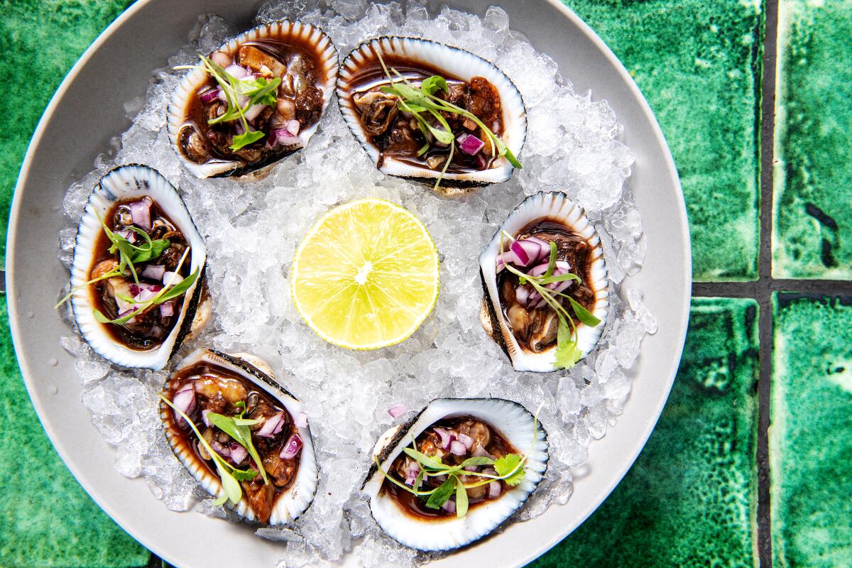 Baja California blood clams on the half shell, morita sauce, lime and red onion from Holbox.