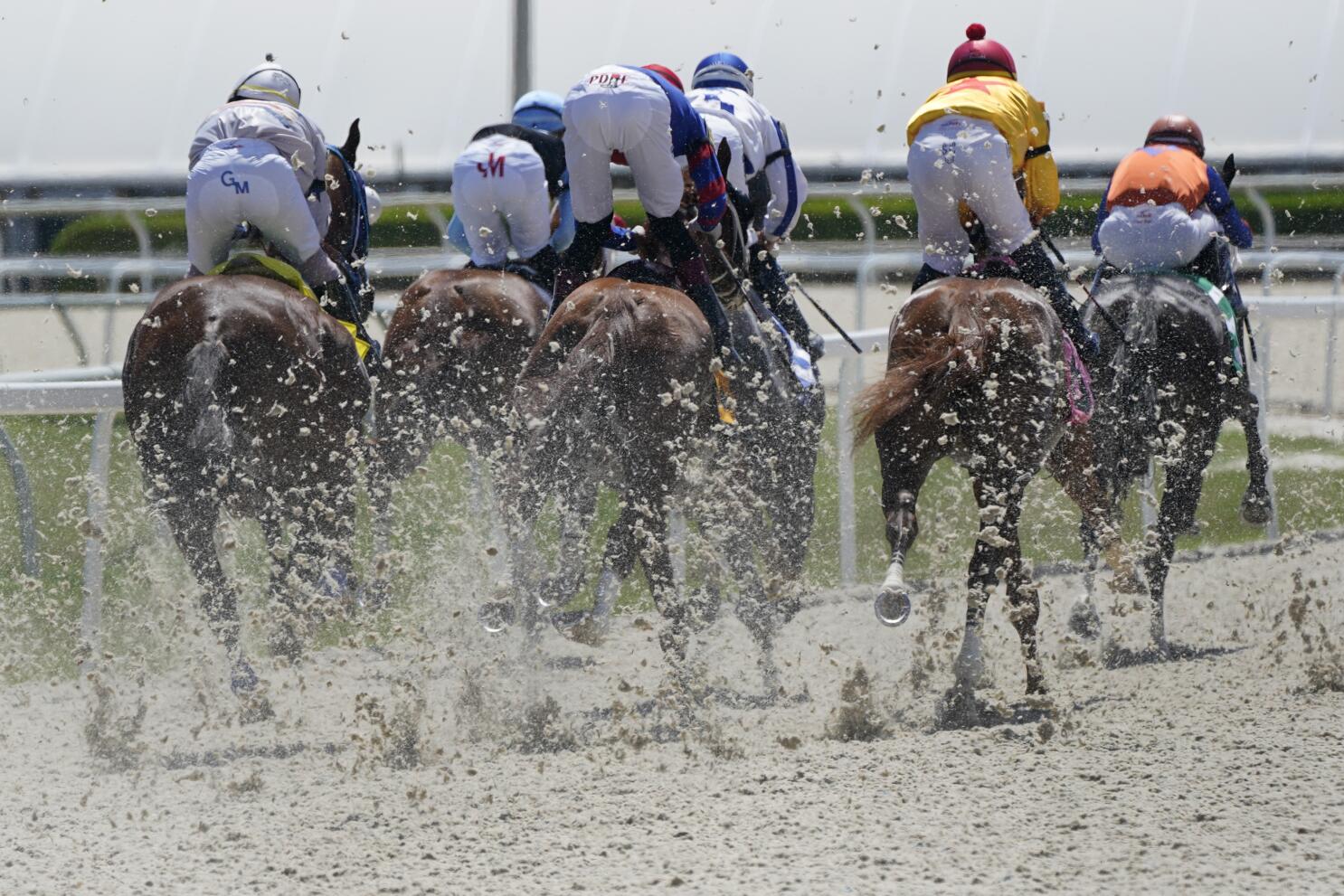 Synthetic surfaces gaining traction at major horse racing tracks - The San Diego Union-Tribune