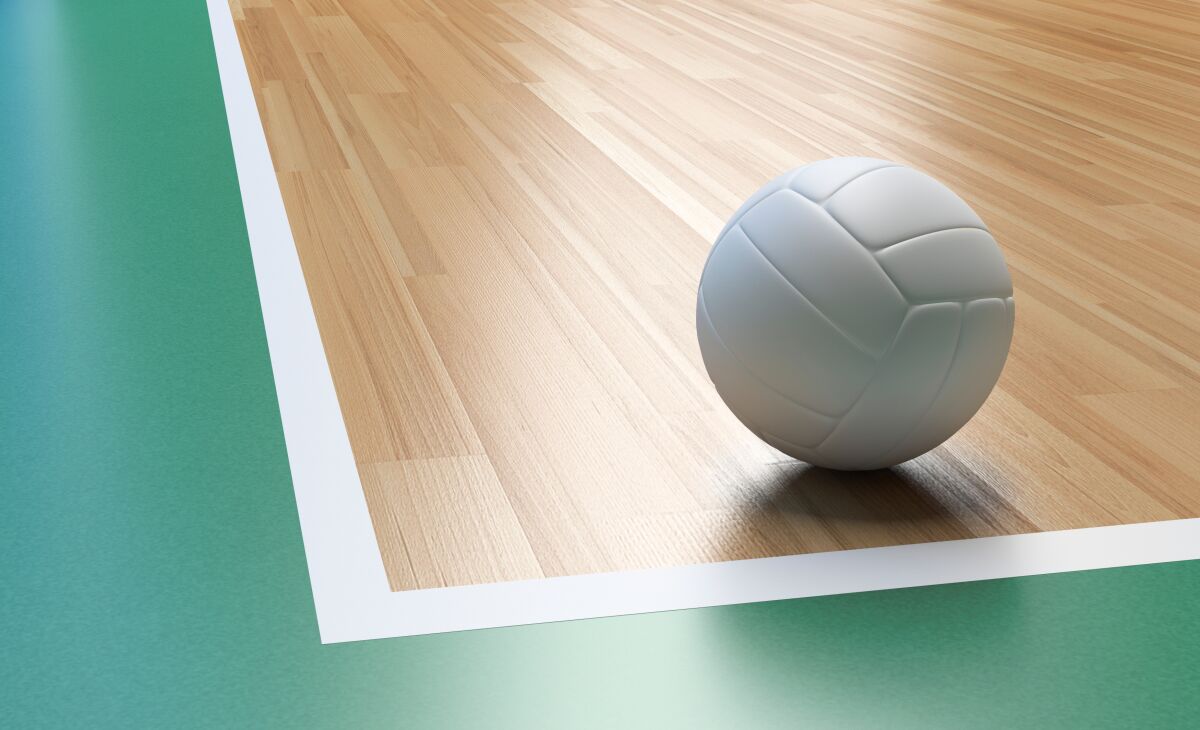 Volleyball on court.