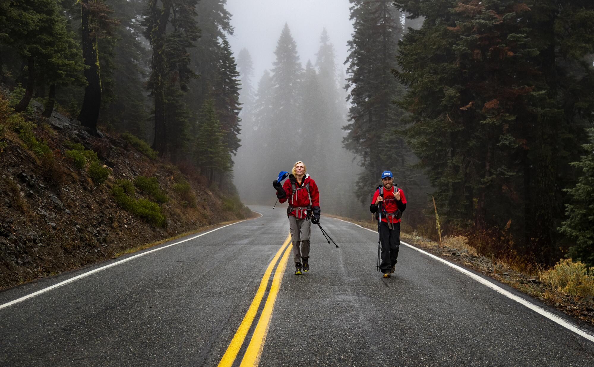 The hikers along a street. 