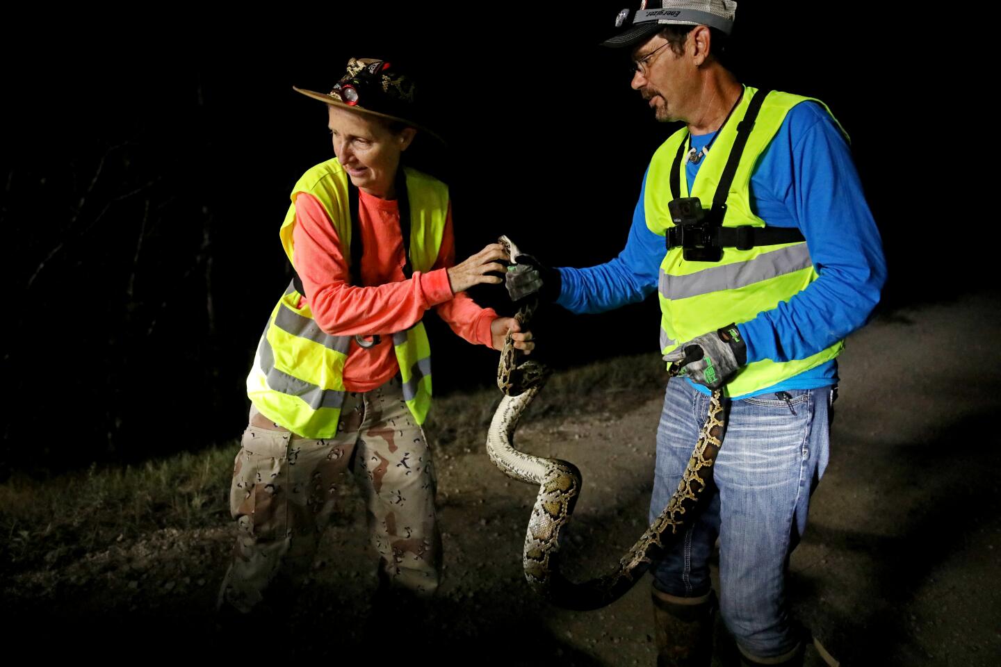 Two people in reflective vests hold a large snake