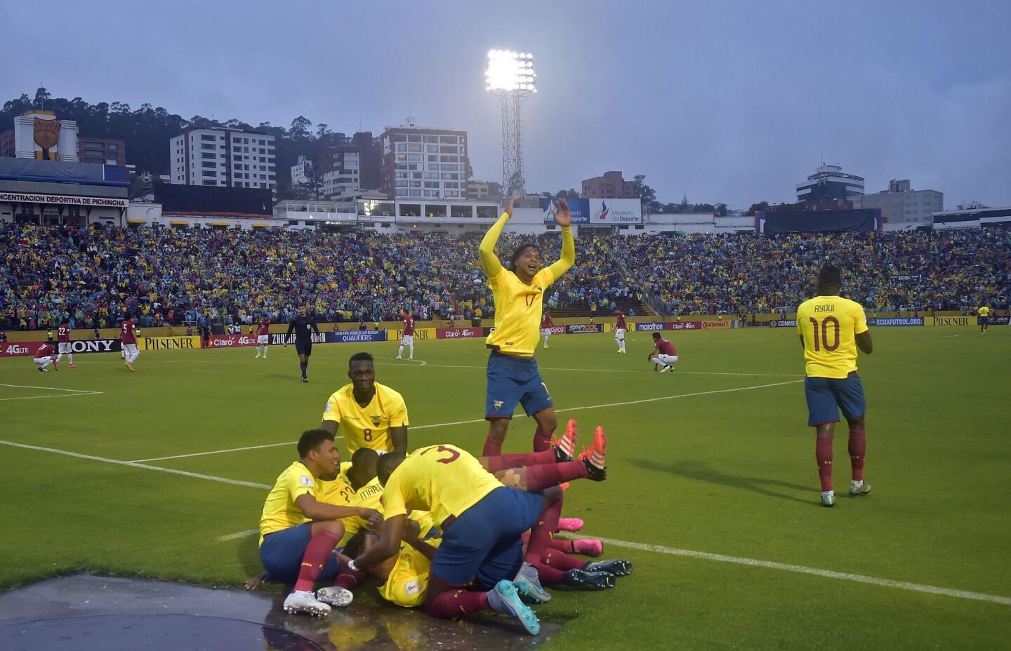 Ecuador's players celebrate after forward Miler Bolanos (on the ground) scored against Bolivia during their Russia 2018 FIFA World Cup South American Qualifiers football match, at the Estadio Olimpico Atahualpa stadium in Quito, on October 13, 2015. AFP PHOTO / RODRIGO BUENDIARODRIGO BUENDIA/AFP/Getty Images ** OUTS - ELSENT, FPG, CM - OUTS * NM, PH, VA if sourced by CT, LA or MoD **