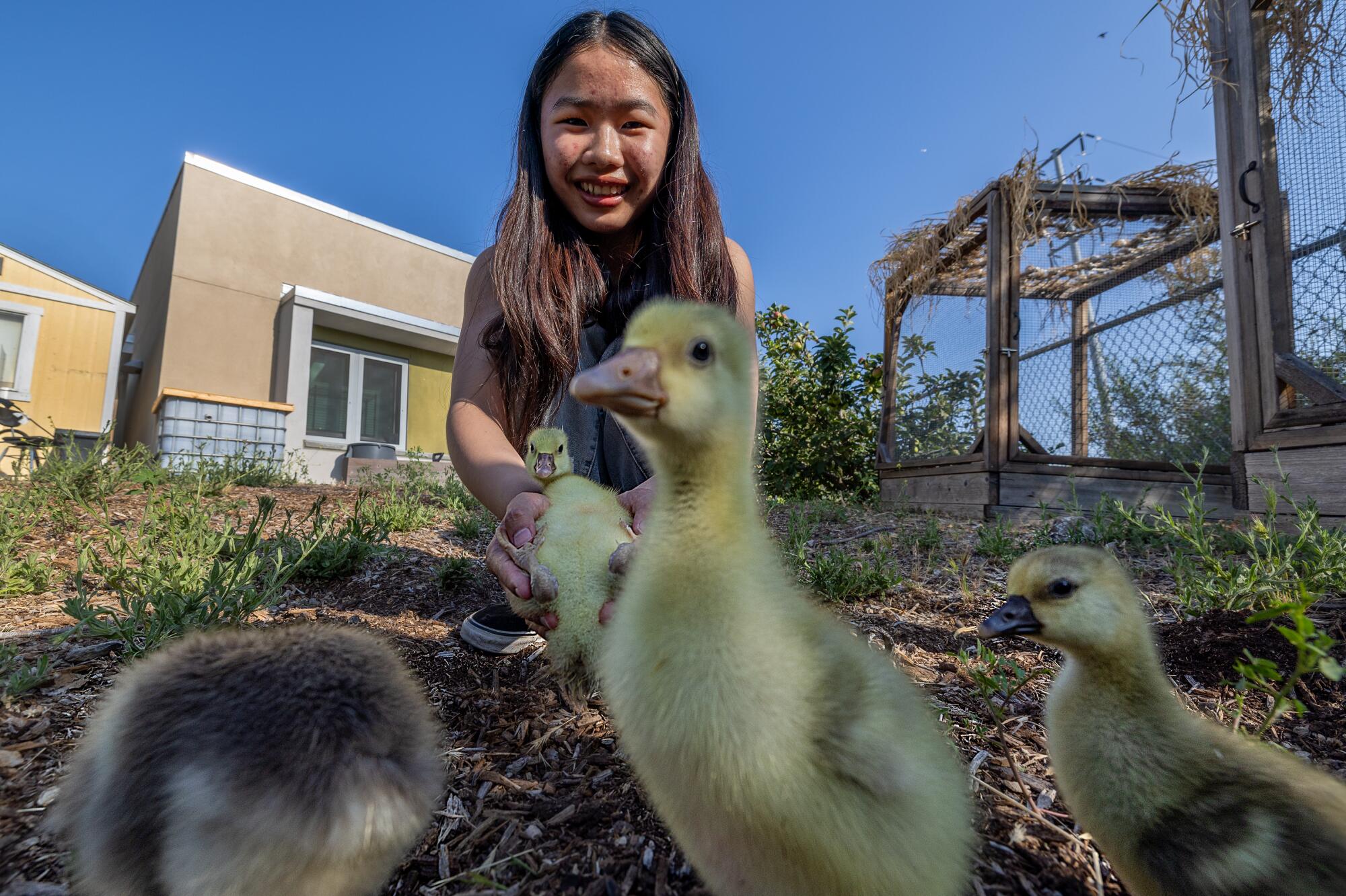 A girl kneels down with chicks.