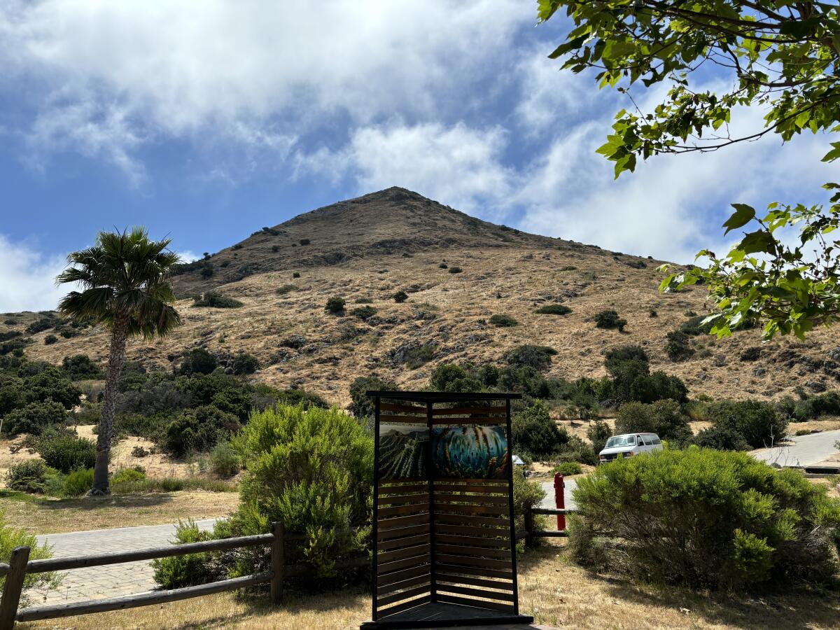 A view from the outdoor art park at USC's Wrigley Marine Science Center on Catalina Island.