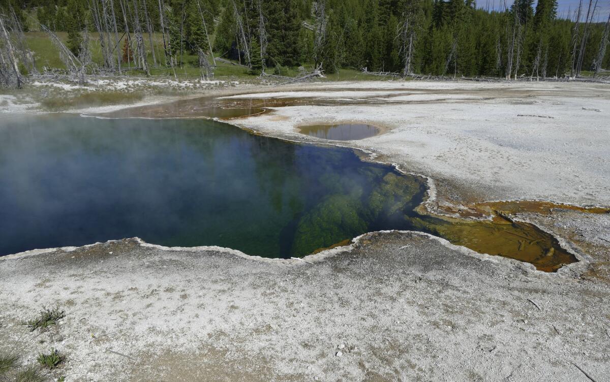 A hot spring in Yellowstone National Park 