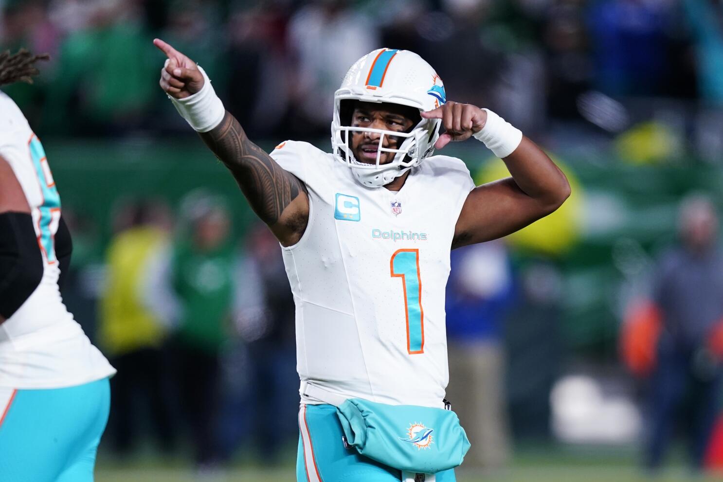 Futebol Americano New England Patriots Report: Miami Dolphins vs