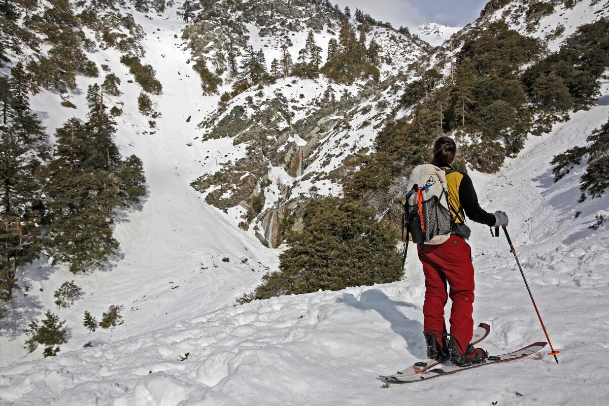 A split boarder stands on snow-covered ground and looks at San Antonio Falls near Mt. Baldy.