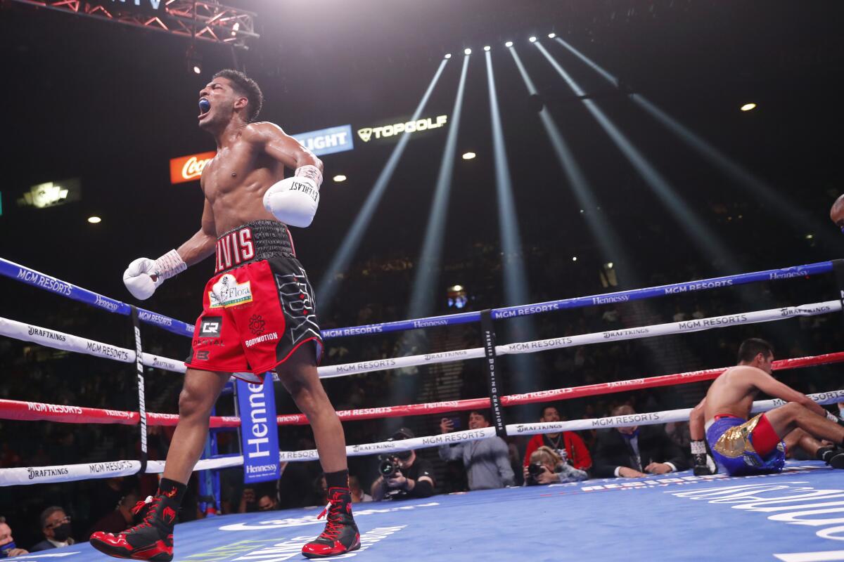 Elvis Rodriguez celebrates after knocking out Juan Pablo Romero on Saturday.