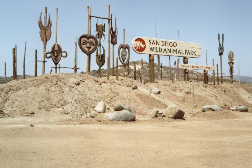 The San Diego Wild Animal Park opened May 10, 1972. Its name was changed to Safari Park 10 years ago.
